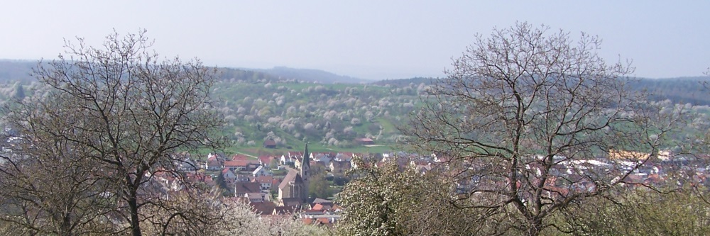 Alt-Owen Förderkreis e.V.